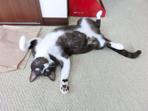 すっかりリラックス