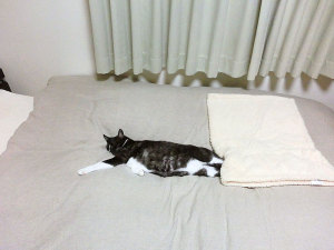 後足あったかい？